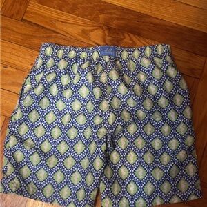 Stella Cove Blue and Green Kids Swim Trunks